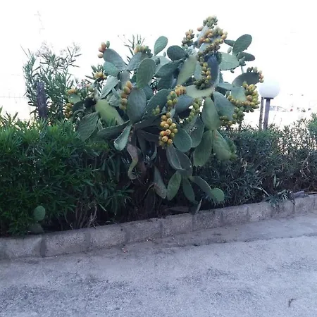 Lucia Bed and Breakfast